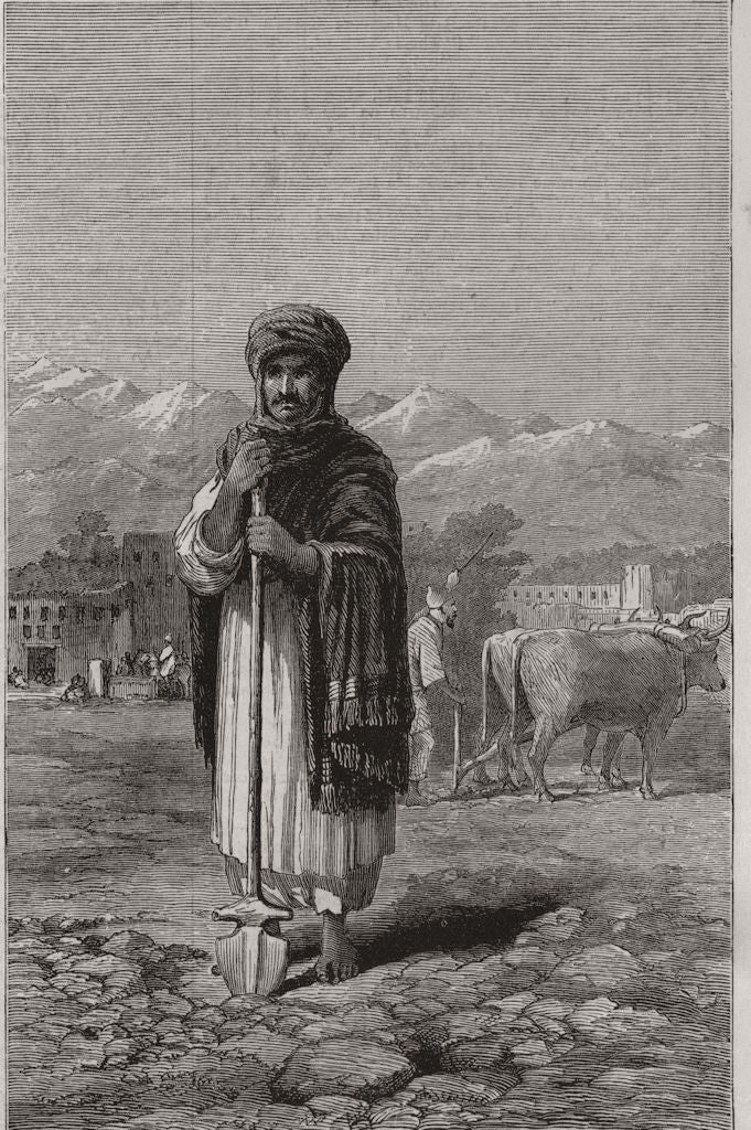 AFGHANISTAN. Second Anglo-Afghan War. An Afghan Agriculturist 1880 old print